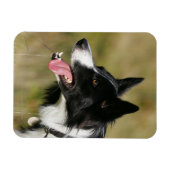 Headshot der Grenzflächendecke 2 Magnet (Horizontal)