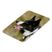 Headshot der Grenzflächendecke 2 Magnet (Linke Seite)