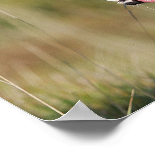 Headshot der Grenzflächendecke 2 Poster (Ecke)