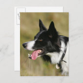 Headshot der Grenzflächendecke 2 Postkarte (Vorne/Hinten)