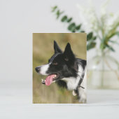 Headshot der Grenzflächendecke 2 Postkarte (Stehend Vorderseite)