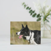 Headshot der Grenzflächendecke 2 Postkarte (Stehend Vorderseite)