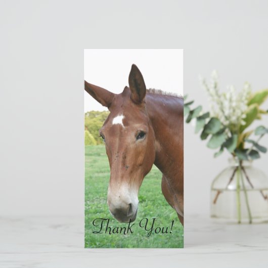 Headshot eines eher raffinierten Maultiers Dankeskarte (Stehend Vorderseite)