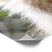 Headshot Poster (Ecke)