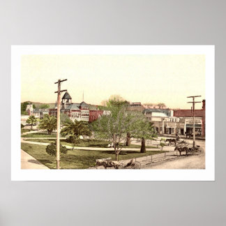 Healdsburg City Centre Poster Print