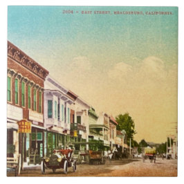 Healdsburg East Street Keramik Tile Fliese