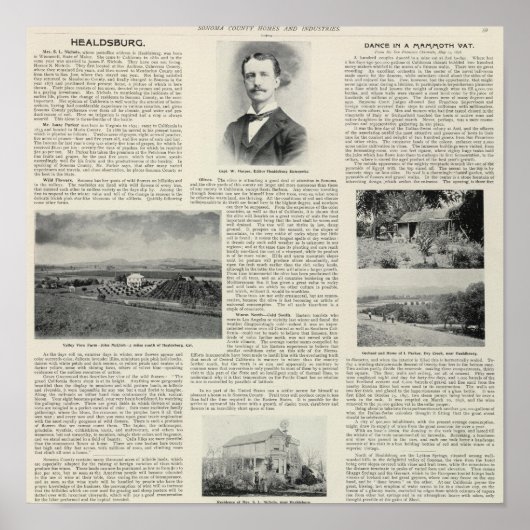 Healdsburg, Kalifornien Poster (Vorne)