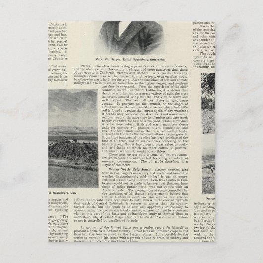 Healdsburg, Kalifornien Postkarte (Vorderseite)