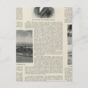 Healdsburg, Kalifornien Postkarte