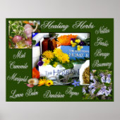 HEALHERBS ~ Poster (Vorne)