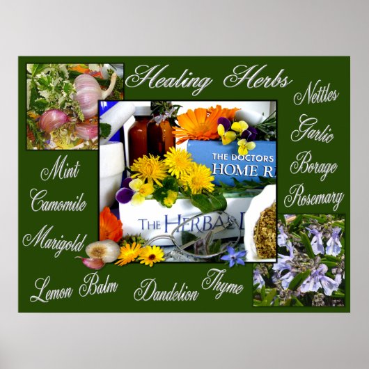 HEALHERBS ~ Poster (Vorne)