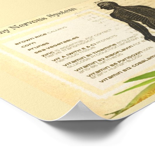 Healthy Nervous System Poster (Ecke)