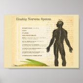 Healthy Nervous System Poster (Vorne)