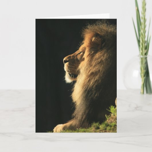 Hear kommt die Sonne Karte (Vorderseite)