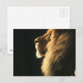 Hear kommt die Sonne Postkarte (Vorne/Hinten)