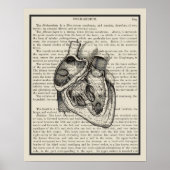 Heart Anatomie Buchkunst Print #2 Poster (Vorne)