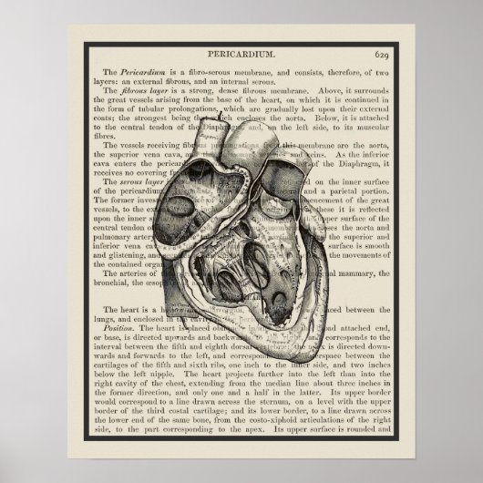 Heart Anatomie Buchkunst Print #2 Poster (Vorne)