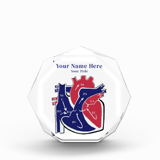 Heart Anatomy- Fotoblock (Vorderseite)