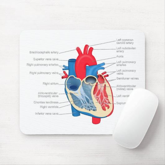 Heart_Anatomy Mousepad (Mit Mouse)