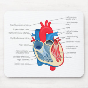 Heart_Anatomy Mousepad