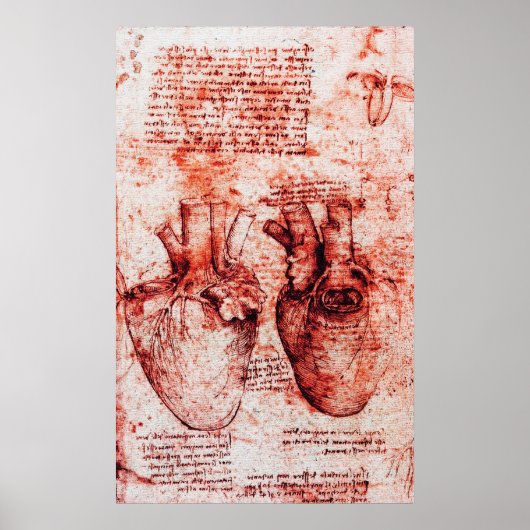 Heart,Its Blood Vessels,Leonardo Da Vinci Red Poster (Vorne)