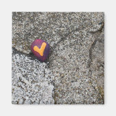 Heart Rock und Fossil Rock Magnet (Vorne)