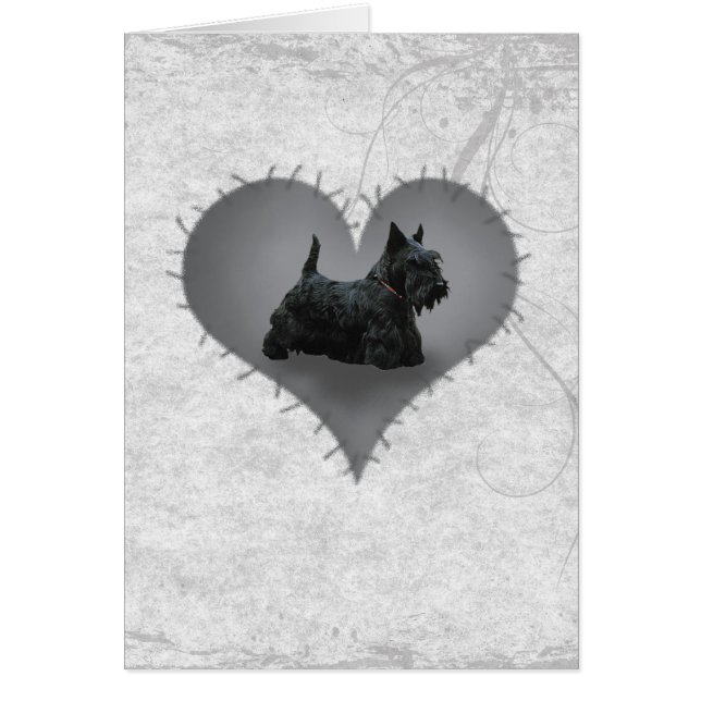 Heart Scottie (Vorne)