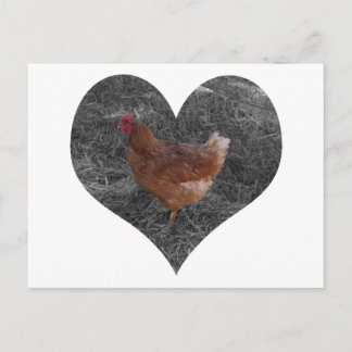 Heart Shaped Chicken Postcard Postkarte