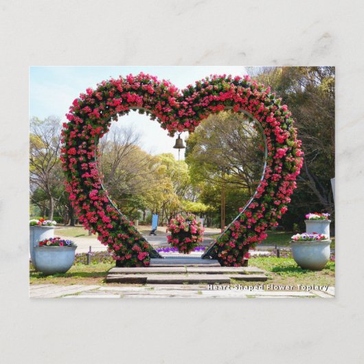 Heart-Shaped Flower Topiary Postkarte (Vorderseite)