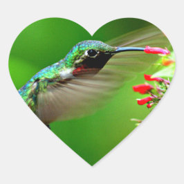 Heart Shaped Hummingbird-Aufkleber Herz-Aufkleber