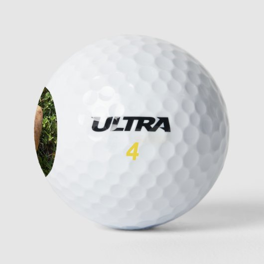 Heart Shaped Potato Golfball (Logo)
