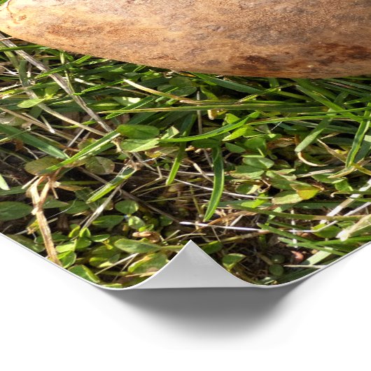 Heart Shaped Potato Poster (Ecke)