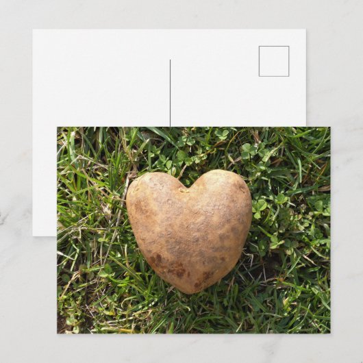 Heart Shaped Potato Postkarte (Vorne/Hinten)