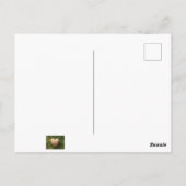 Heart Shaped Potato Postkarte (Rückseite)