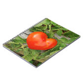 Heart Shaped Tomato Notizblock (Linke Seite)