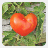 Heart Shaped Tomato Quadratischer Aufkleber (Vorderseite)