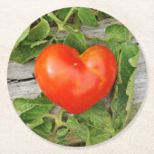 Heart Shaped Tomato Runder Pappuntersetzer (Vorderseite)