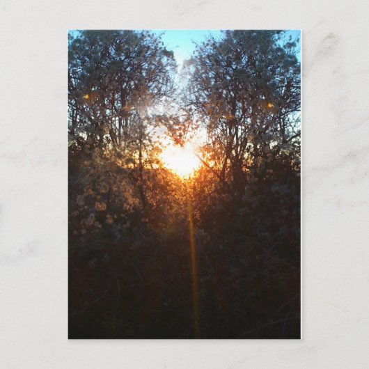 heartbeamdec2010 postkarte (Vorderseite)