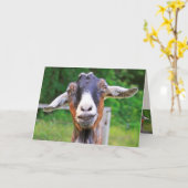 Heartfelt Funny Goat Birthday Karte (Gelbe Blume)