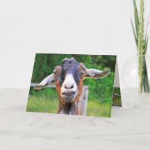 Heartfelt Funny Goat Birthday