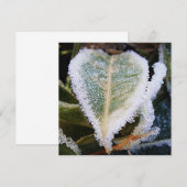 Heartförmiges Blatt mit Eis Einladung (Vorne/Hinten)