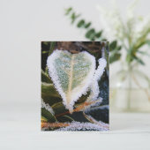 Heartförmiges Blatt mit Eis Postkarte (Stehend Vorderseite)