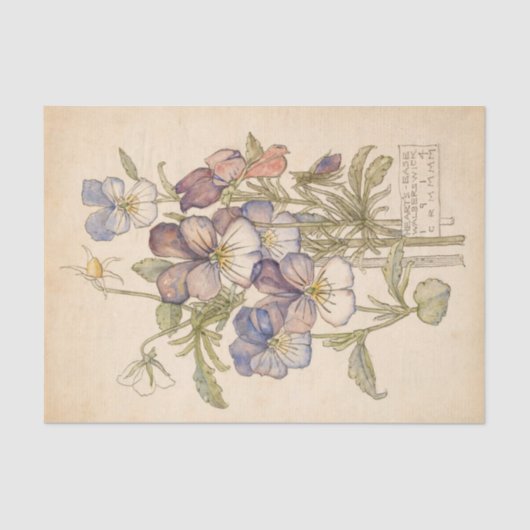 Heart's-Ease Walberswick von Charles Mackintosh Seidenpapier (Vorderseite)