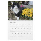 Heartsong Equestrian 2023 Wall Calendar Kalender (Mär 2027)