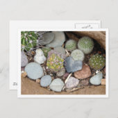 Heartstones Postkarte (Vorne/Hinten)