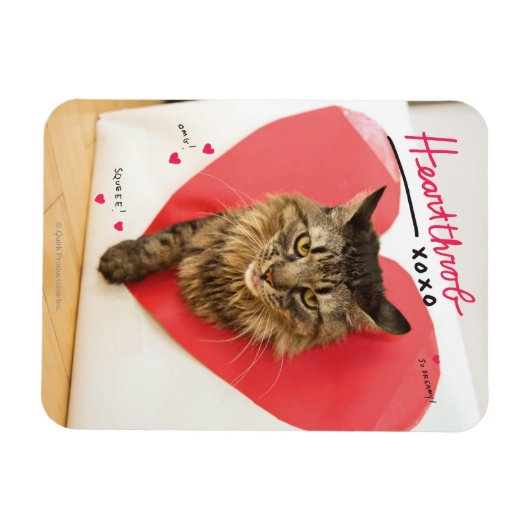 Heartthrob Cat Magnet (Horizontal)