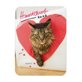 Heartthrob Cat Magnet (Vertikal)