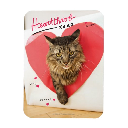 Heartthrob Cat Magnet (Vertikal)