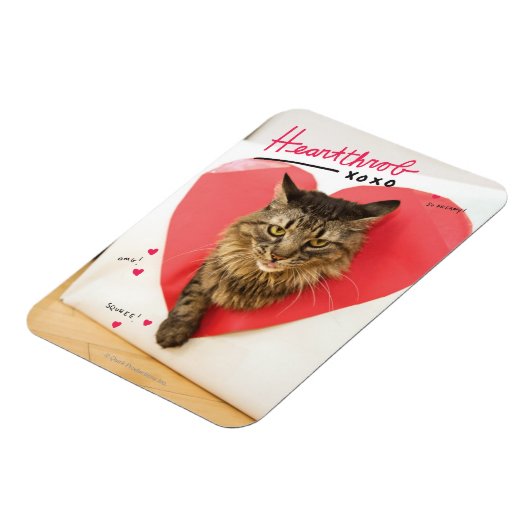 Heartthrob Cat Magnet (Linke Seite)