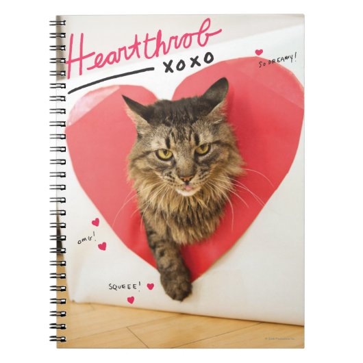 Heartthrob Cat Notizblock (Vorderseite)